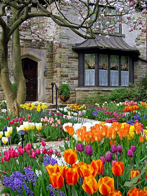 spring flowers  gardens total eye candy town country living