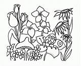 Coloring Garden Pages Flower Spring Kids Printable Colouring Flowers Drawing Clipart Color Drawings Preschool Outline Print Cliparts Clip Gardens Protein sketch template