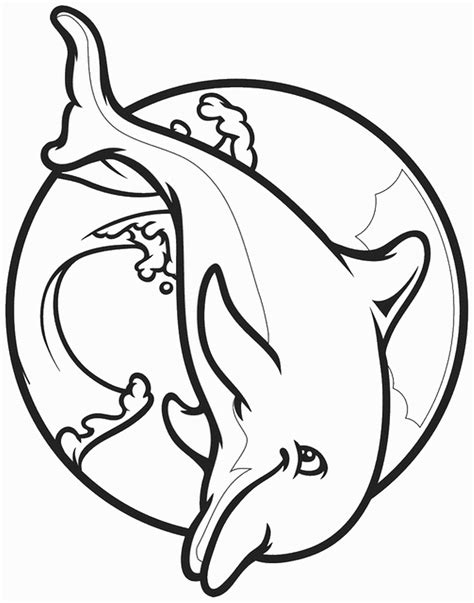 dolphin coloring pages