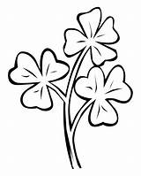 Clover Shamrock Clipart Line Clip Cliparts Coloring Library Pages High Insertion Codes Link Quality sketch template