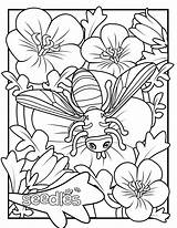 Coloring Curriculum Resources Bee Pages Seed sketch template