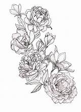 Peony Tattoo Flower Drawing Peonies Tattoos Line Outline Drawings Magnolia Flowers Drawn Tatoo Draw Ink Pencil Flash Samoan Dream Getdrawings sketch template