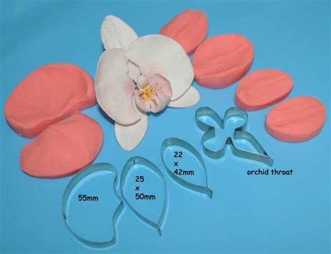 Phalaenopsis Orchid Cutters And Veiners One Stop Cake