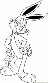 Bunny Coloring Carrot Bugs Pages Coloringpages101 Color Getcolorings Colossal sketch template