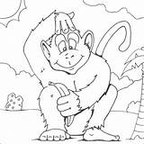 Monkey Colouring Coloring Print Pages sketch template