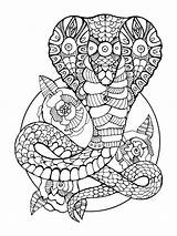 Cobra Snake Coloring Book Adults Drawing Adult Tattoo Illustration Mandala Curve Dreamstime Stencil Pages Colouring Doodle sketch template
