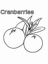 Cranberries Cranberry Nutrients Berry Grapefruit sketch template