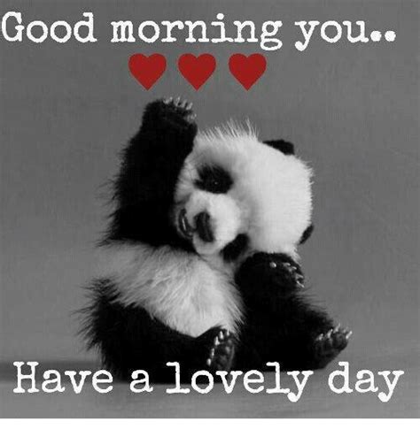 Good Morning You Have A Lovely Day Love Meme On Sizzle