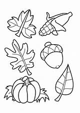 Herbst Coloriage Ausmalbilder Malvorlagen Feuilles Automne Sheets Outono Automnes Vorlage Blatt Herbstblätter Kostenlos Ausmalbild Fensterdeko Ausmalen Thanksgiving Templates Herbstlaub Crayola sketch template