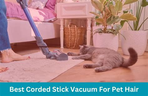 corded stick vacuum  pet hair