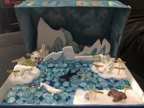 tundra box diorama project biomes project projects habitats projects