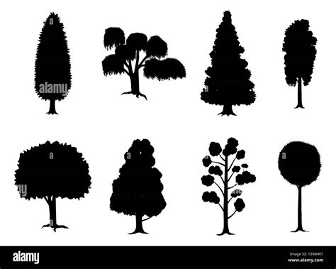 set  vari alberi stilizzati  silhouette illustrazione vettoriale