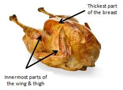 cook thanksgiving turkey      recipechatter