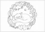 Binturong Bearcat Pangolin Designlooter sketch template