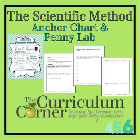 scientific method anchor chart penny experiment  curriculum