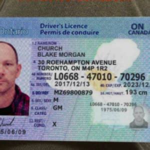 buy  finland drivers license real finland drivers license