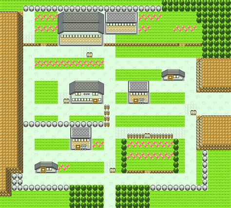 Pokémon Gold And Silver Pewter City — Strategywiki The Video Game