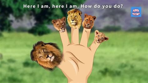 finger family rhymes  lion king cartoons  children lion finger