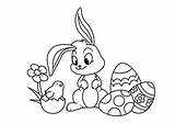 Conejos Conejo Pascua Quieres Saber Adorables Echa Vistazo sketch template