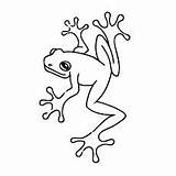 Frog Delightful Momjunction sketch template