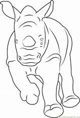 Rhino Coloring Running Baby Coloringpages101 Pages sketch template