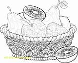Still Life Coloring Pages Basket Fruit Drawing Fruits Step Vegetables Kids Getdrawings Apples Color Printable Getcolorings Wattled Contours sketch template