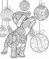 Ausmalbilder Coloriage Erwachsene Mandala Ausmalen Hund Hunde Adulte Perrito Welpe Ausdrucken Ornamente Gorro Malvorlagen Dragen Hond Volwassen Kerstmishoed Kleurende Colorare sketch template