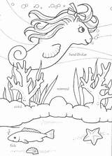 Coloring Sea Book Pony sketch template