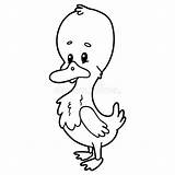 Duck Coloring Cartoon Cute Illustration Vector Educational Colorless Graphic Game Kids sketch template