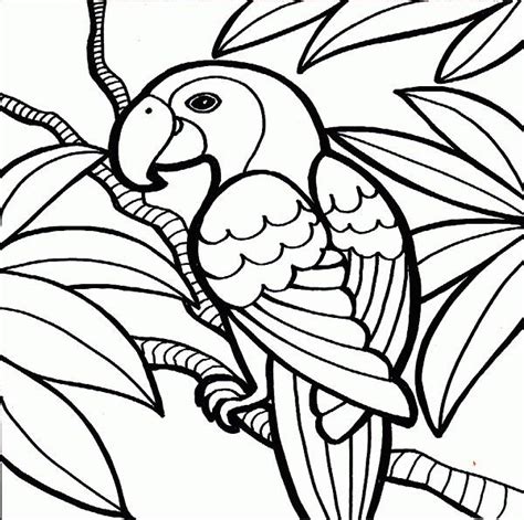 cool coloring pages  kids home sketch coloring page