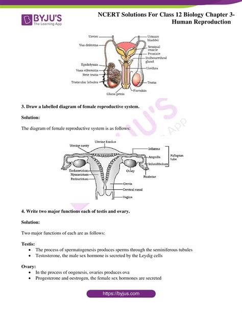 ncert solutions for class 12 biology chapter 3 human reproduction 2022