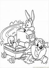 Coloring Pages Tunes Cartoons Baby sketch template