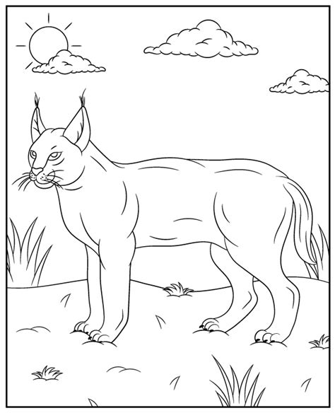 caracal coloring page wild cat topcoloringpagesnet