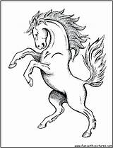 Friesian Horse Coloring Pages Getdrawings sketch template