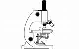 Microscopio Microscopios Partes Lengua Dibuja Ciencia sketch template