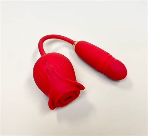 Rose Vibrator Sensation Bullet Vibrator New Sex Toy 2 In 1 Etsy