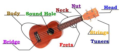 fundamentals ms eakes ukulele class