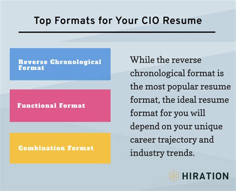 chief information officer cio resume  guide   examples