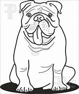 Bulldog Coloring Pages English Drawing Camera Line Adult Sheets Easy Dog Kids Drawings Georgia Printable Colouring Cctv Book Puppy Outline sketch template