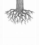 Roots Root Artwork sketch template