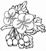 Dekoking Fruehlingsblumen Frühlingsblumen Malvorlagen sketch template