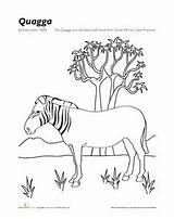 Extinct Animals Coloring Pages Getcolorings Designlooter Getdrawings 442px 56kb sketch template