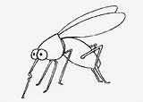 Mosquito Coloring Pages Kids Books sketch template
