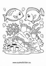 Wasser Fische sketch template