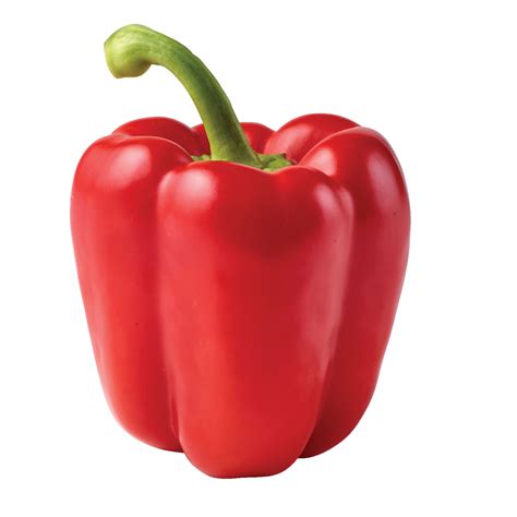 fresh red bell pepper shop peppers