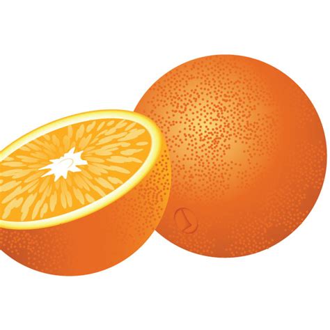 fresh orange fruit vector ai svg eps vector