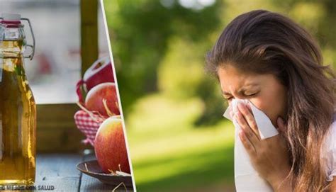 kiss allergies goodbye with 4 homemade tricks step to health