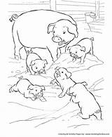Mud Pigs sketch template