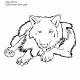 Wolf Down Laying Coloring Pages Lying Line Back Index Template Own Color sketch template