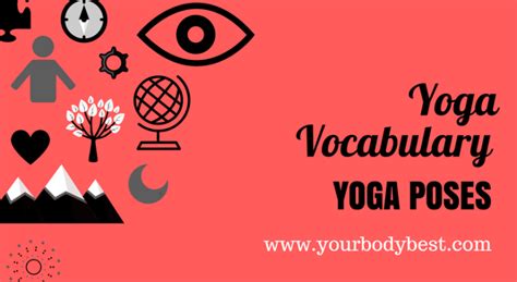 yoga vocabulary  yoga pose names  body